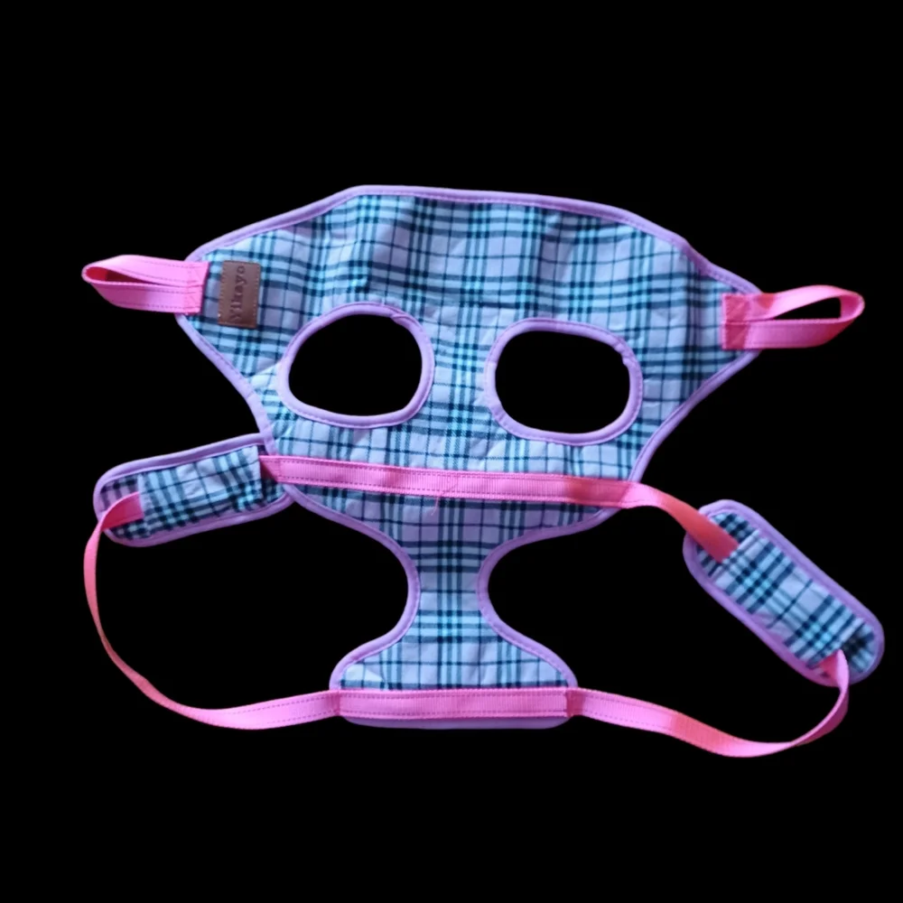 Plaid small dog carrier new